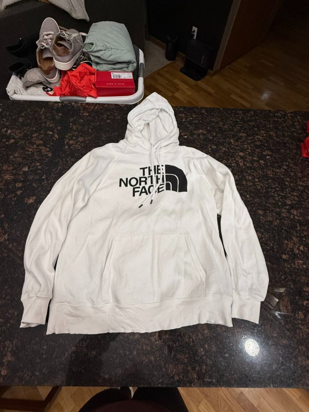The North Face logo hoodie